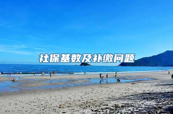 社保基数及补缴问题
