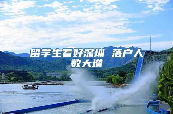 留学生看好深圳 落户人数大增