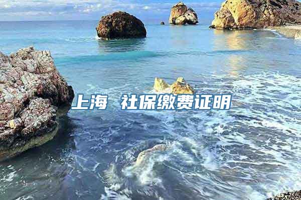 上海 社保缴费证明