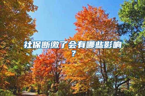 社保断缴了会有哪些影响？