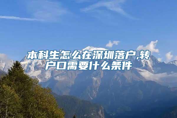 本科生怎么在深圳落户,转户口需要什么条件