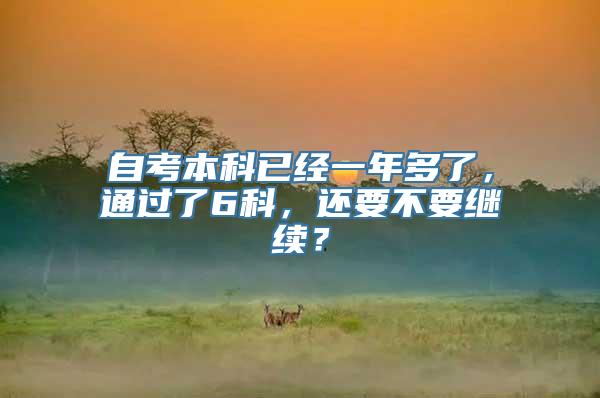 自考本科已经一年多了，通过了6科，还要不要继续？