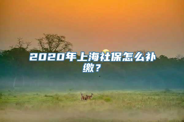 2020年上海社保怎么补缴？