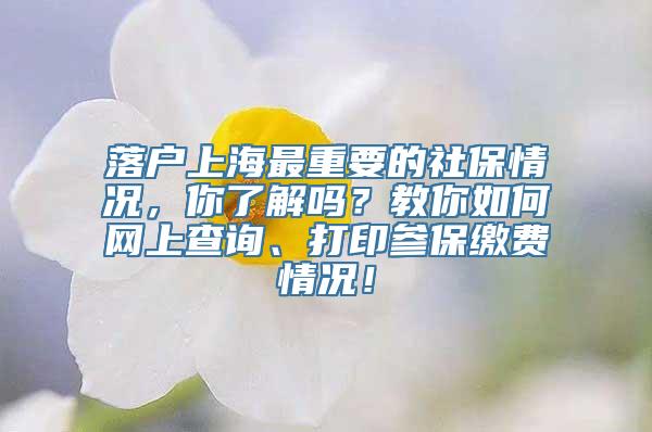 落户上海最重要的社保情况，你了解吗？教你如何网上查询、打印参保缴费情况！