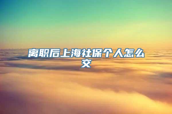 离职后上海社保个人怎么交