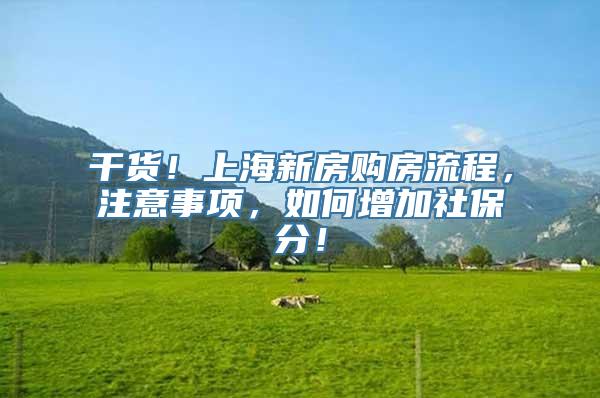干货！上海新房购房流程，注意事项，如何增加社保分！