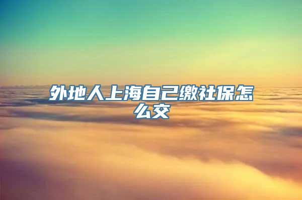 外地人上海自己缴社保怎么交