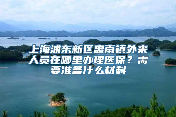 上海浦东新区惠南镇外来人员在哪里办理医保？需要准备什么材料