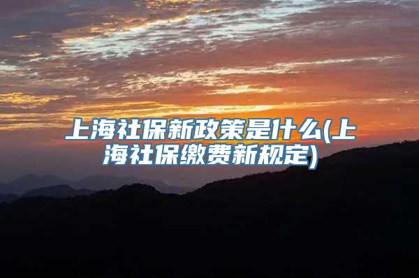 上海社保新政策是什么(上海社保缴费新规定)