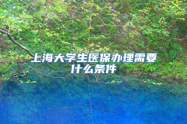 上海大学生医保办理需要什么条件