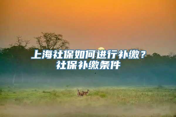 上海社保如何进行补缴？社保补缴条件
