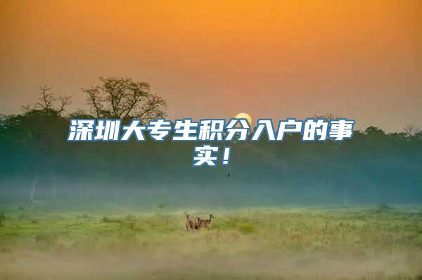深圳大专生积分入户的事实！