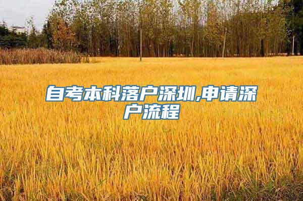 自考本科落户深圳,申请深户流程