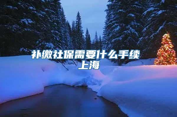 补缴社保需要什么手续 上海