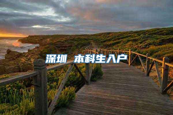 深圳 本科生入户