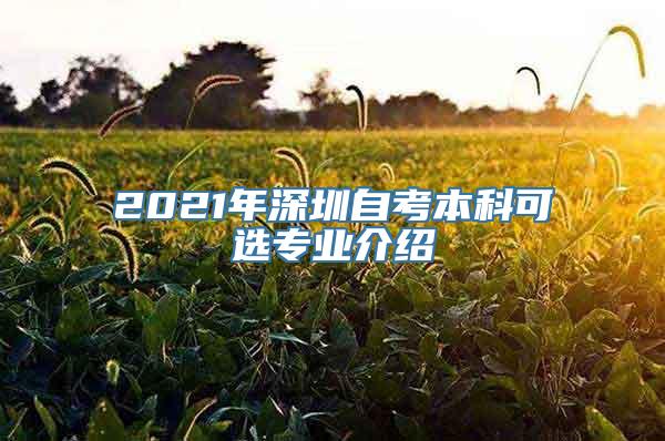 2021年深圳自考本科可选专业介绍