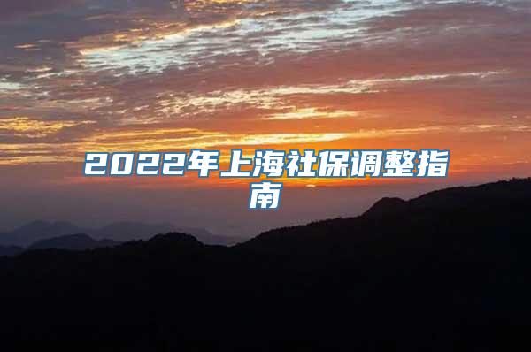 2022年上海社保调整指南