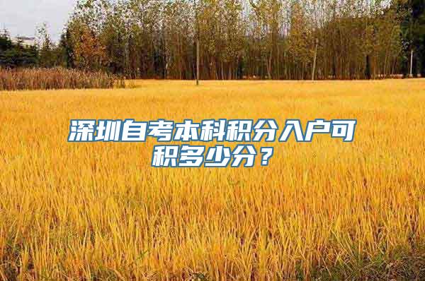 深圳自考本科积分入户可积多少分？