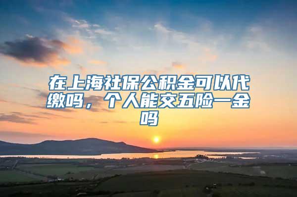 在上海社保公积金可以代缴吗，个人能交五险一金吗