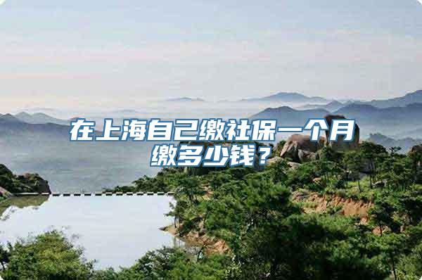 在上海自己缴社保一个月缴多少钱？