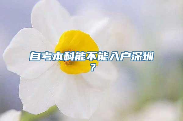 自考本科能不能入户深圳？