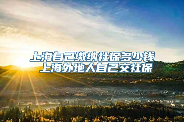 上海自己缴纳社保多少钱 上海外地人自己交社保