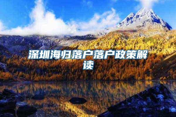 深圳海归落户落户政策解读