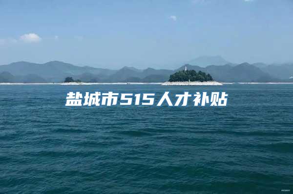 盐城市515人才补贴