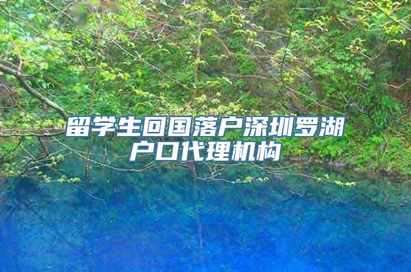 留学生回国落户深圳罗湖户口代理机构
