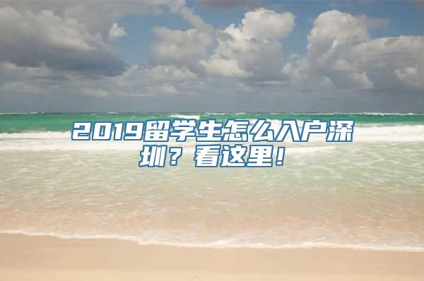2019留学生怎么入户深圳？看这里！