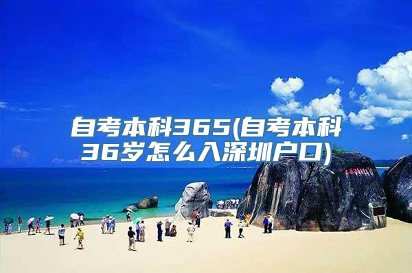 自考本科365(自考本科36岁怎么入深圳户口)