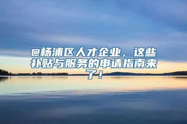 @杨浦区人才企业，这些补贴与服务的申请指南来了！