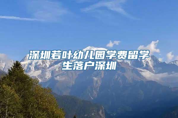 深圳若叶幼儿园学费留学生落户深圳