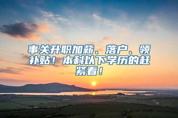 事关升职加薪、落户、领补贴！本科以下学历的赶紧看！