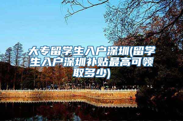大专留学生入户深圳(留学生入户深圳补贴最高可领取多少)
