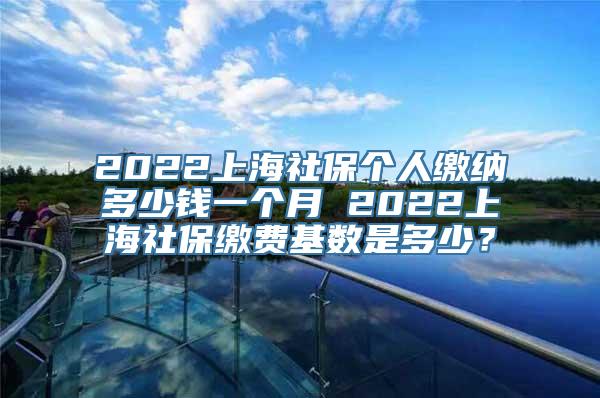 2022上海社保个人缴纳多少钱一个月 2022上海社保缴费基数是多少？