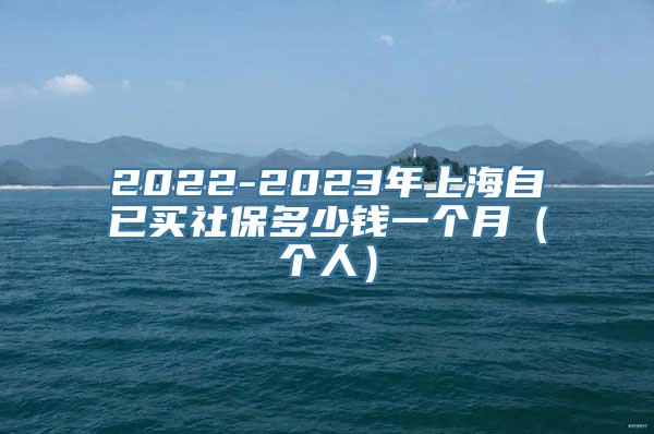 2022-2023年上海自已买社保多少钱一个月（个人）