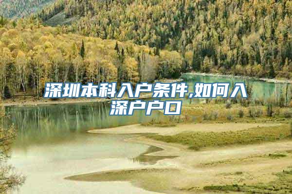 深圳本科入户条件,如何入深户户口