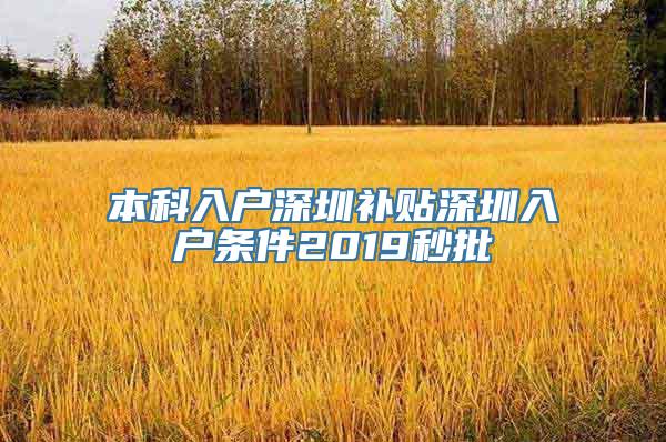 本科入户深圳补贴深圳入户条件2019秒批