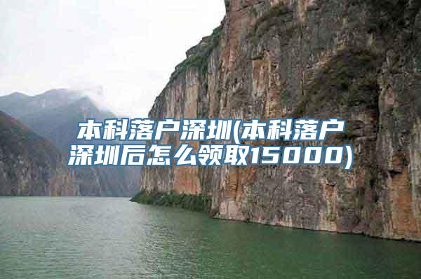 本科落户深圳(本科落户深圳后怎么领取15000)
