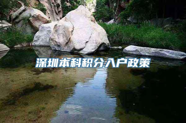 深圳本科积分入户政策