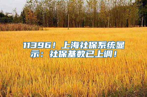 11396！上海社保系统显示：社保基数已上调！