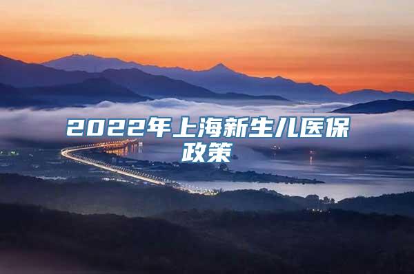 2022年上海新生儿医保政策