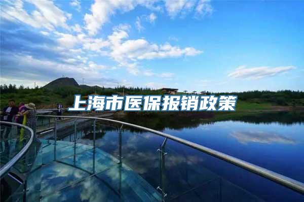 上海市医保报销政策