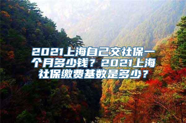 2021上海自己交社保一个月多少钱？2021上海社保缴费基数是多少？