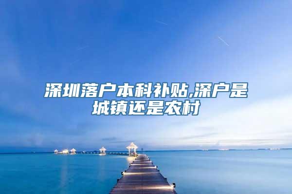 深圳落户本科补贴,深户是城镇还是农村