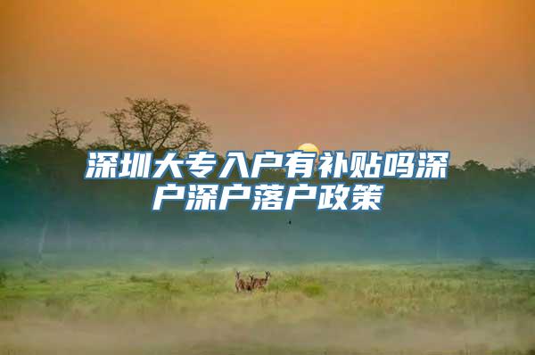 深圳大专入户有补贴吗深户深户落户政策