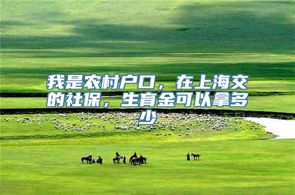 我是农村户口，在上海交的社保，生育金可以拿多少