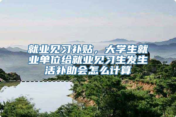 就业见习补贴，大学生就业单位给就业见习生发生活补助会怎么计算