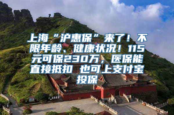 上海“沪惠保”来了！不限年龄、健康状况！115元可保230万，医保能直接抵扣 也可上支付宝投保